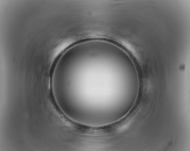 X0000092071269200709191155