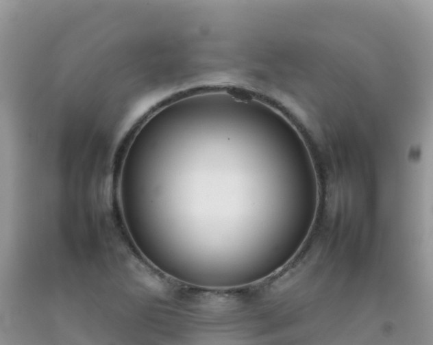 X0000092071270200709191155