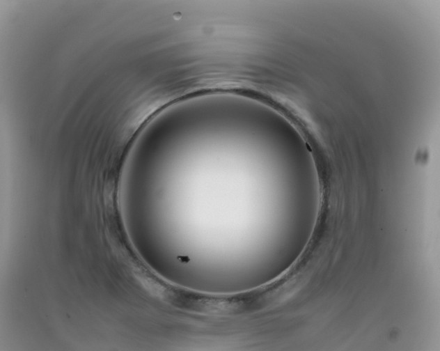X0000092071273200709191155