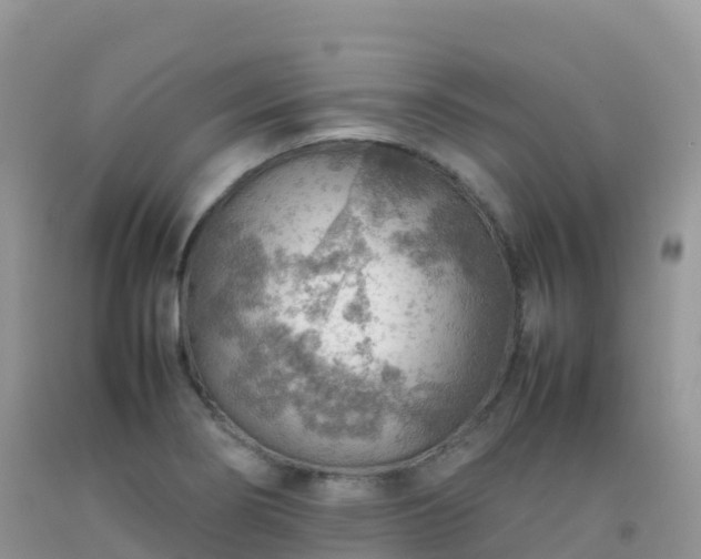X0000092071274200709191155