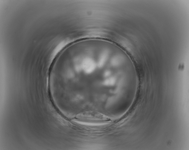 X0000092071275200709191155