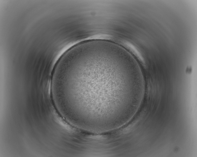 X0000092071276200709191155