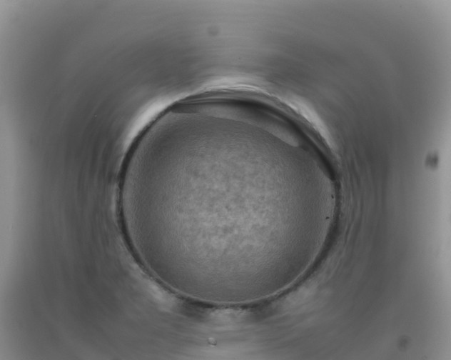 X0000092071277200709191155