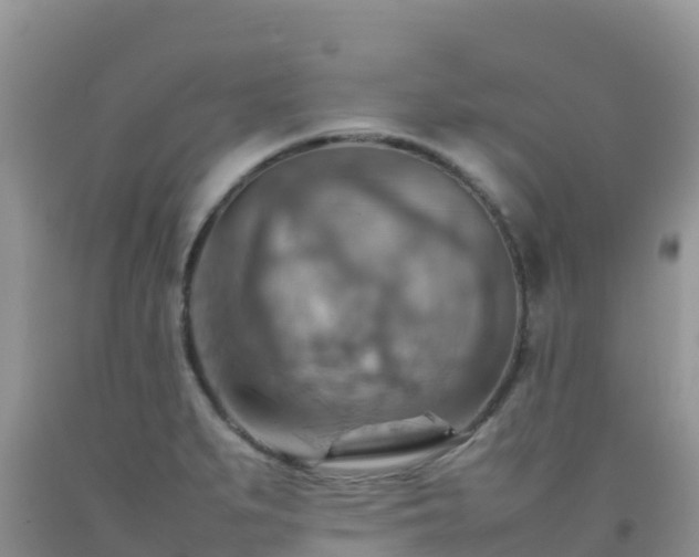X0000092071279200709191155