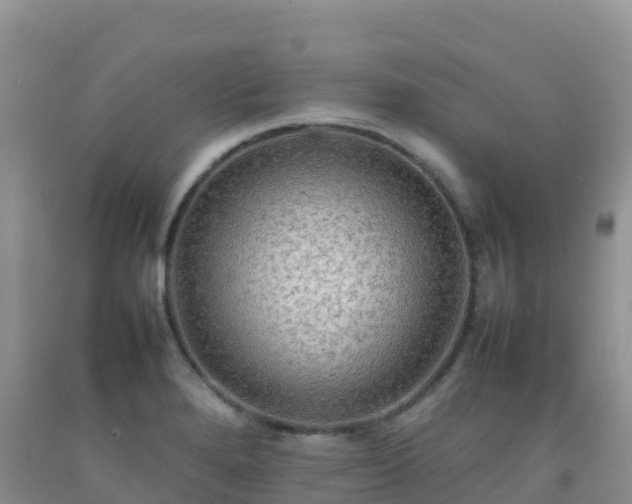 X0000092071280200709191155