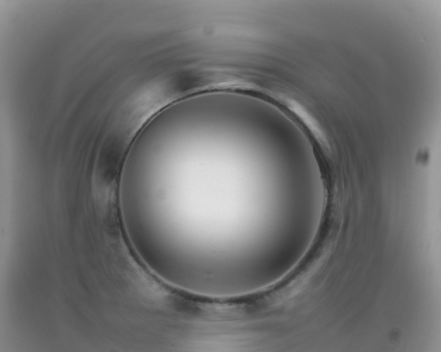 X0000092071281200709191155