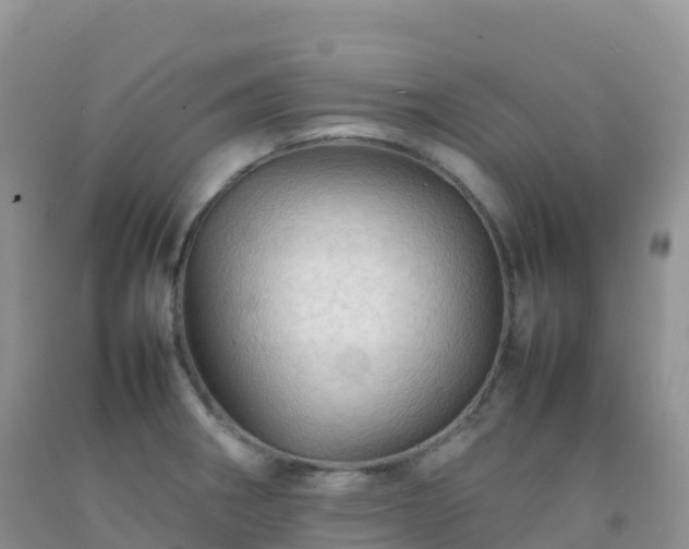 X0000092071282200709191155