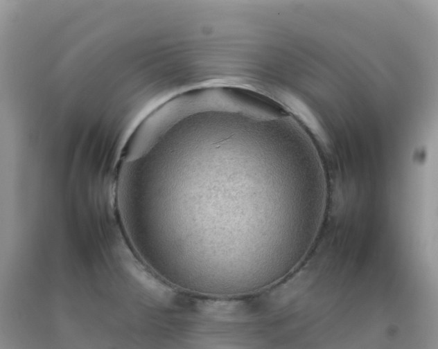 X0000092071284200709191155