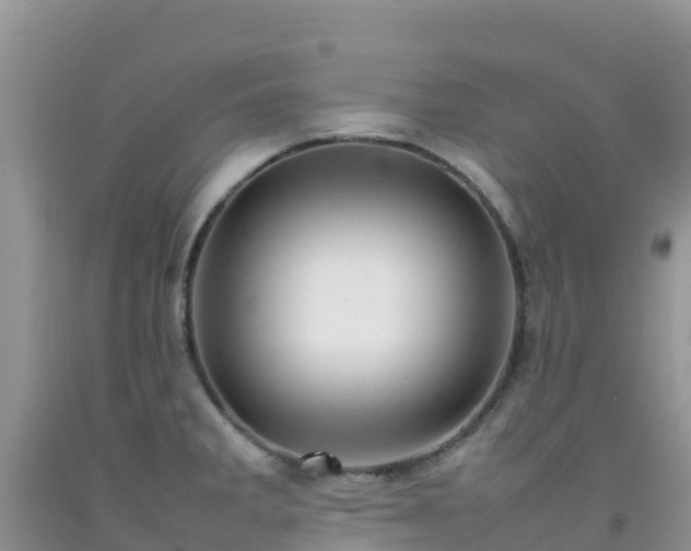 X0000092071285200709191155