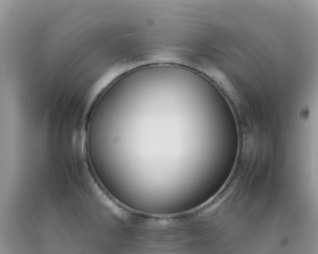 X0000092071286200709191155