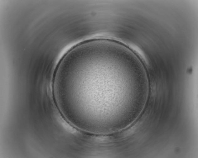 X0000092071288200709191155