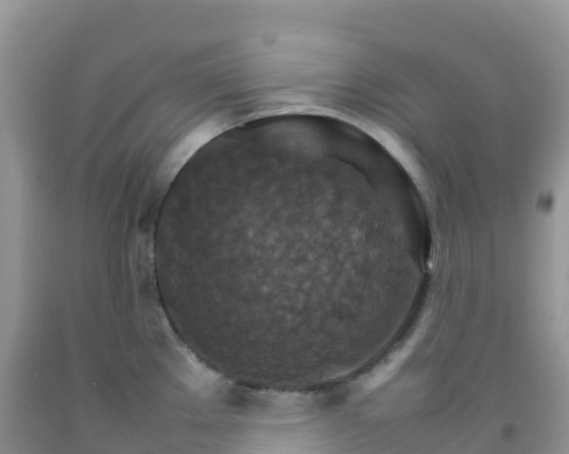 X0000092071289200709191155