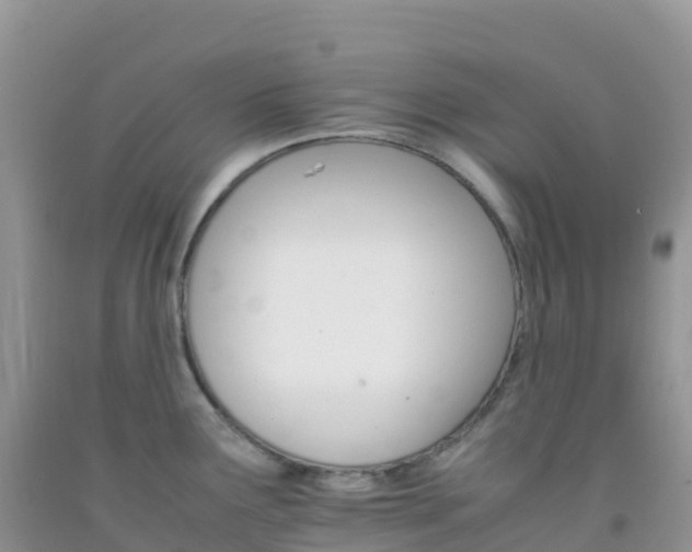X0000092071291200709191155