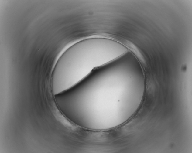 X0000092071292200709191155