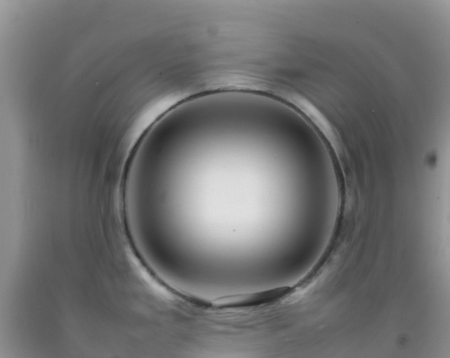 X0000092071293200709191155