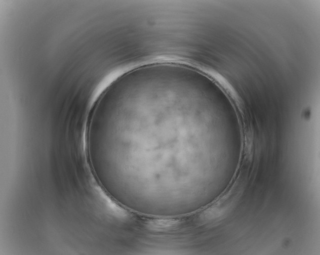 X0000092071294200709191155