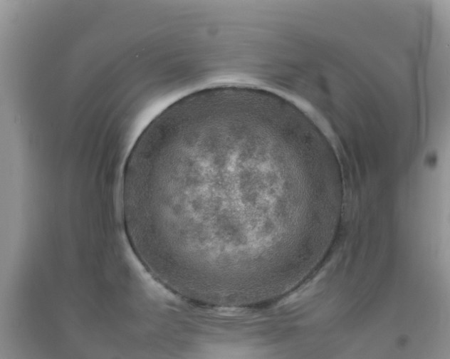 X0000092071295200709191155