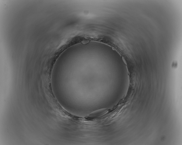 X0000092071297200709191154