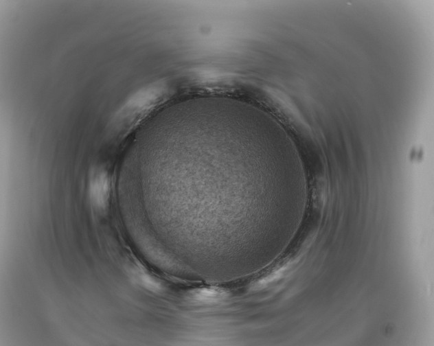 X0000092071298200709191154