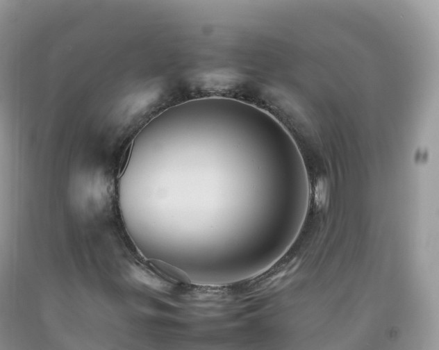 X0000092071299200709191154