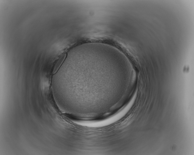 X0000092071300200709191154