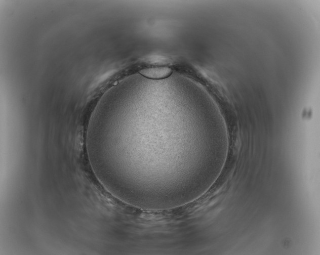 X0000092071301200709191154