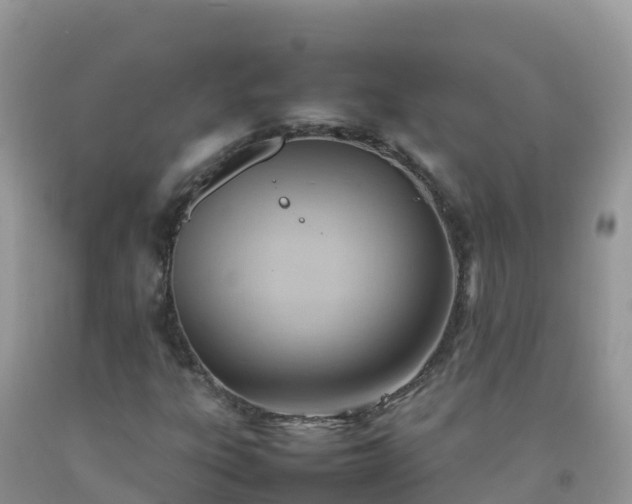 X0000092071303200709191154