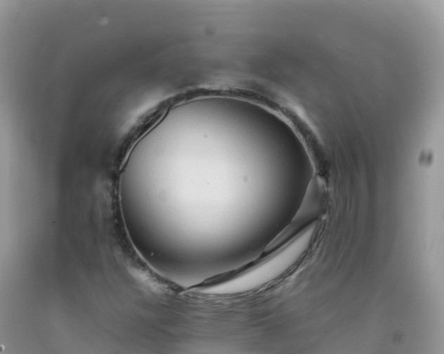 X0000092071304200709191154