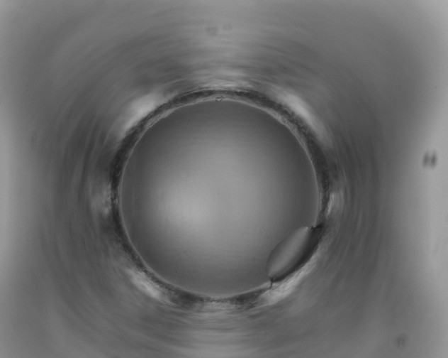X0000092071306200709191154