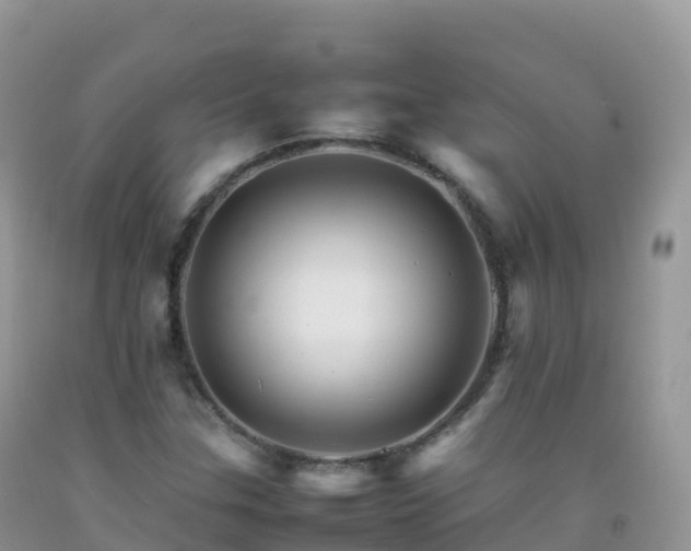 X0000092071307200709191155