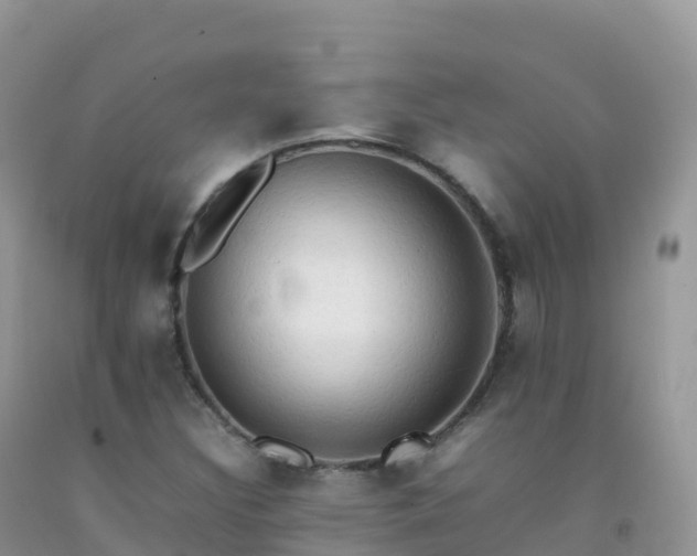 X0000092071308200709191155