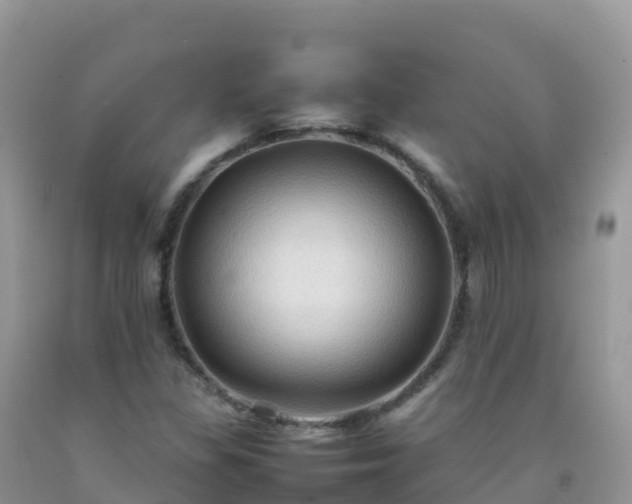 X0000092071309200709191155