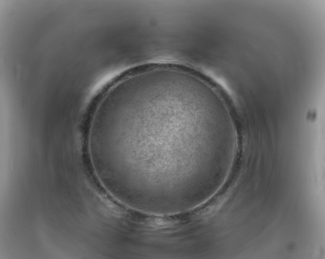 X0000092071311200709191155