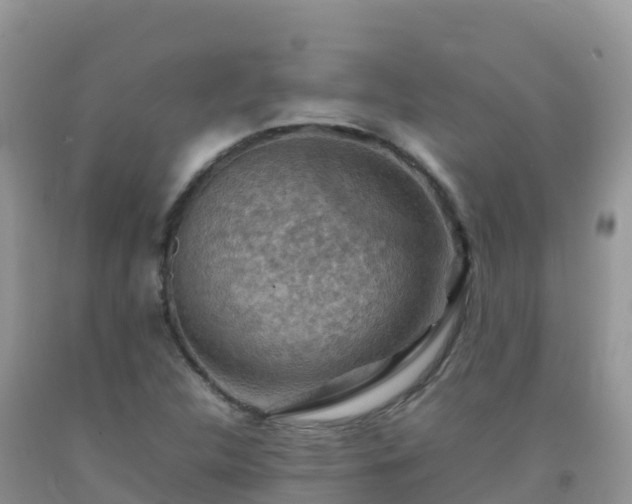 X0000092071312200709191155