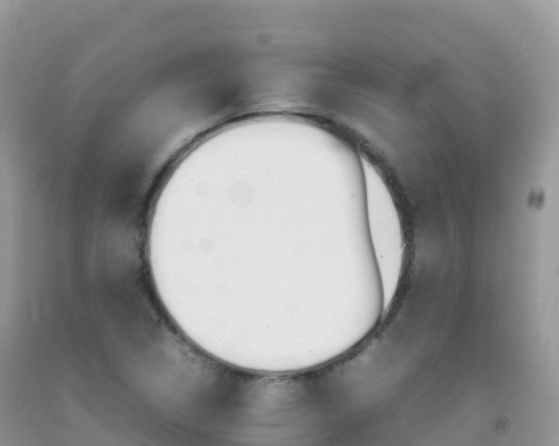 X0000092071314200709191155
