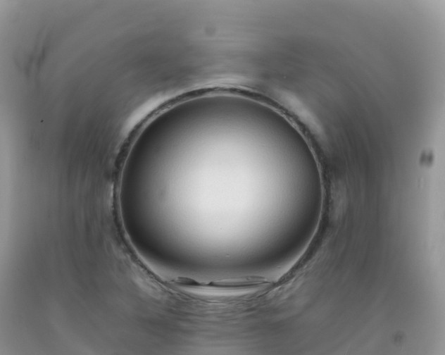 X0000092071316200709191155