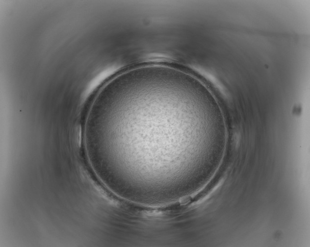 X0000092071317200709191155
