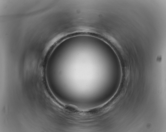 X0000092071318200709191155