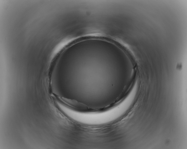 X0000092071319200709191155