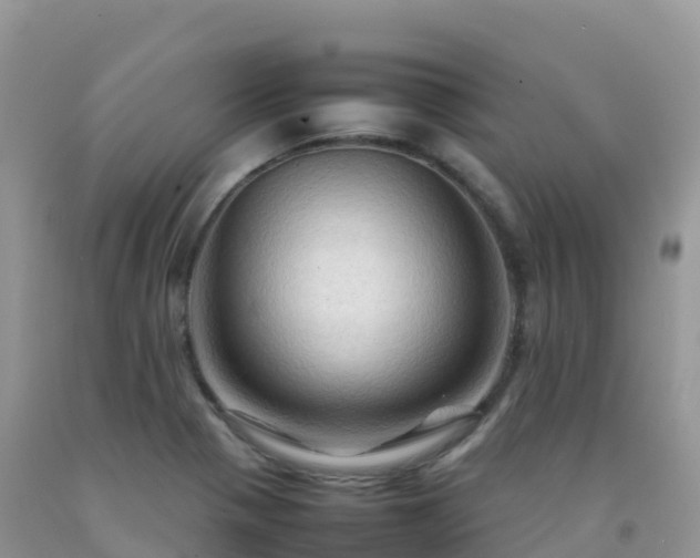 X0000092071321200709191155