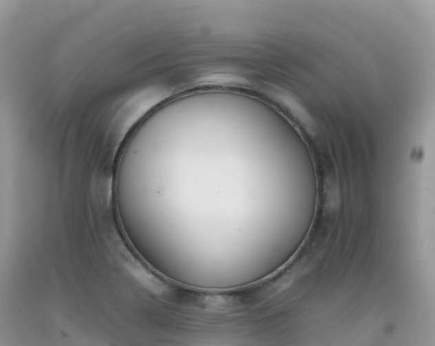 X0000092071322200709191155