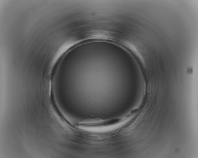 X0000092071323200709191155