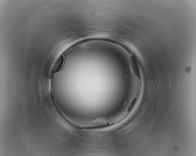 X0000092071324200709191155