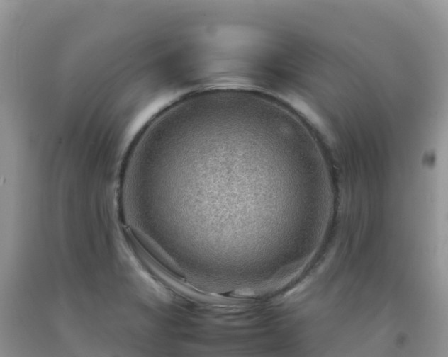 X0000092071325200709191155