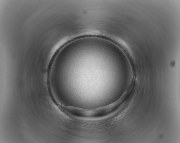 X0000092071326200709191155