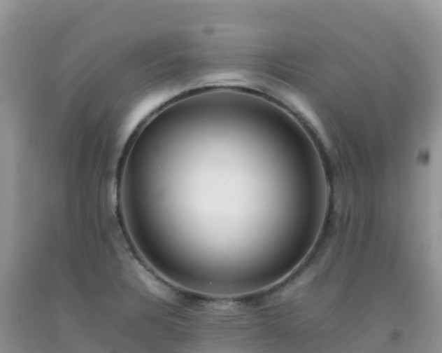 X0000092071328200709191155
