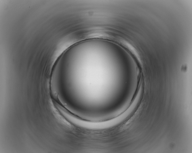 X0000092071330200709191155