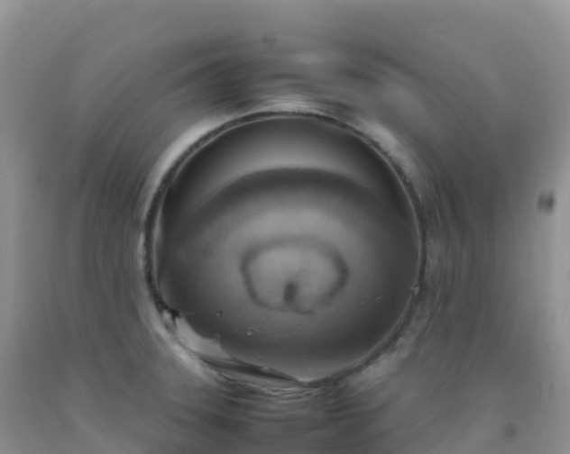 X0000092071331200709191155