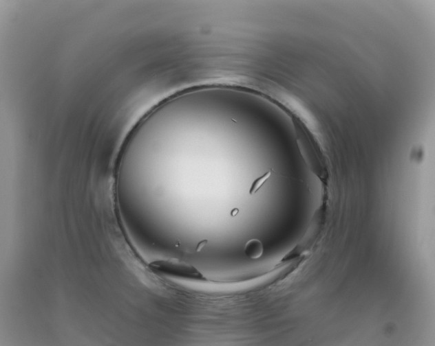 X0000092071332200709191155