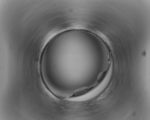 X0000092071334200709191155